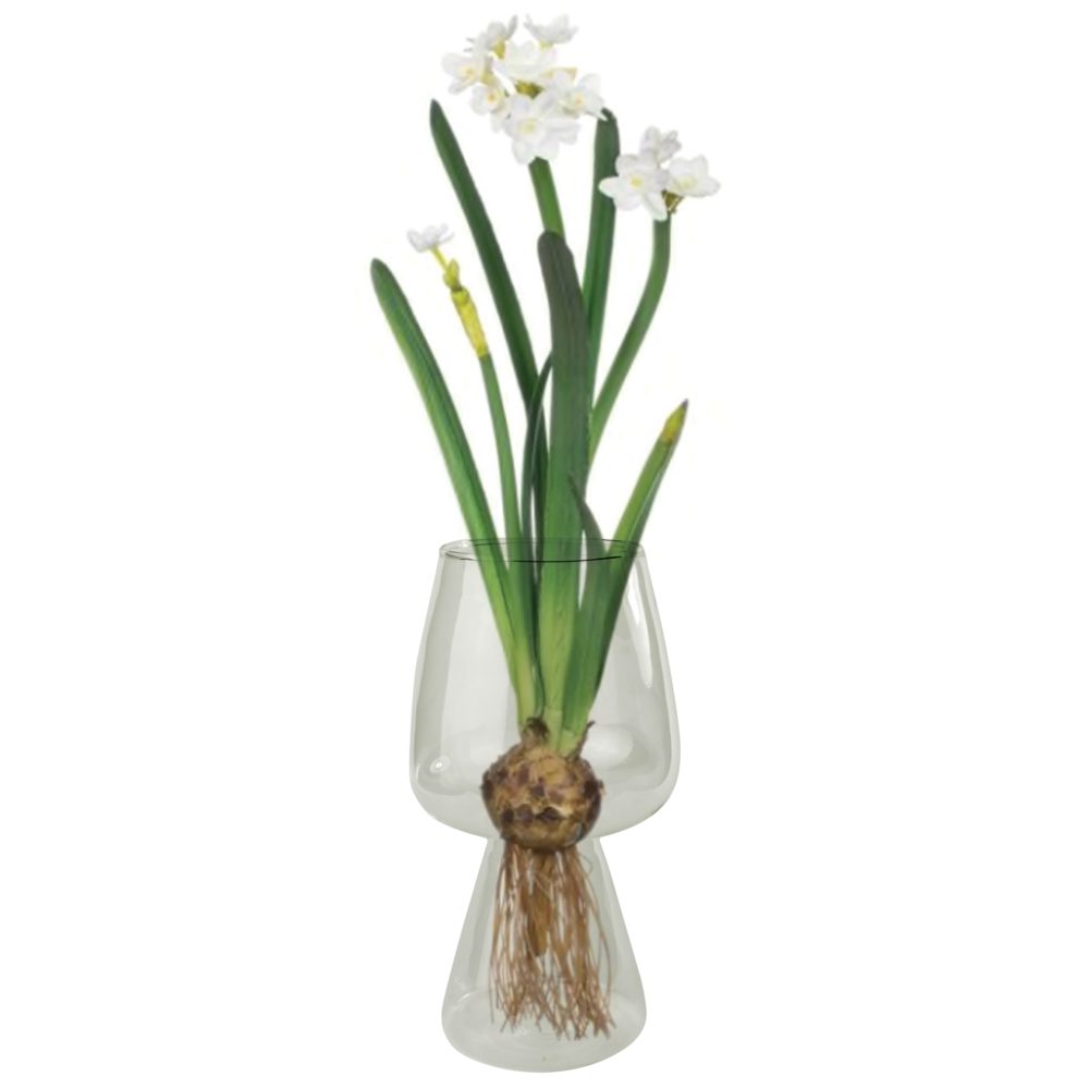 Glass Bulb Vase Set of 2 by HomArt