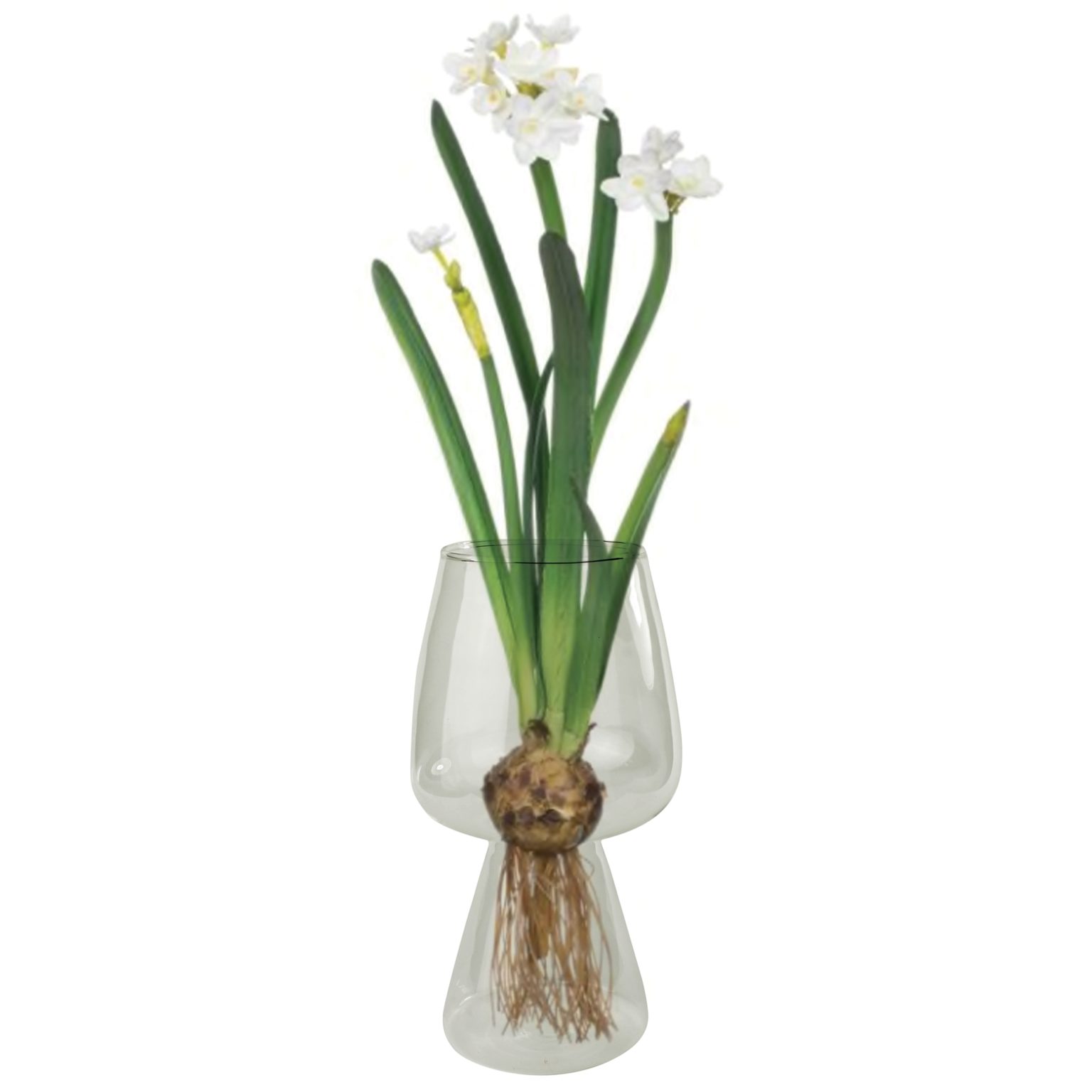 Glass Bulb Vase Set of 2 by HomArt Seven Colonial