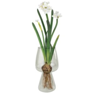 Glass Bulb Vase Set of 2 by HomArt