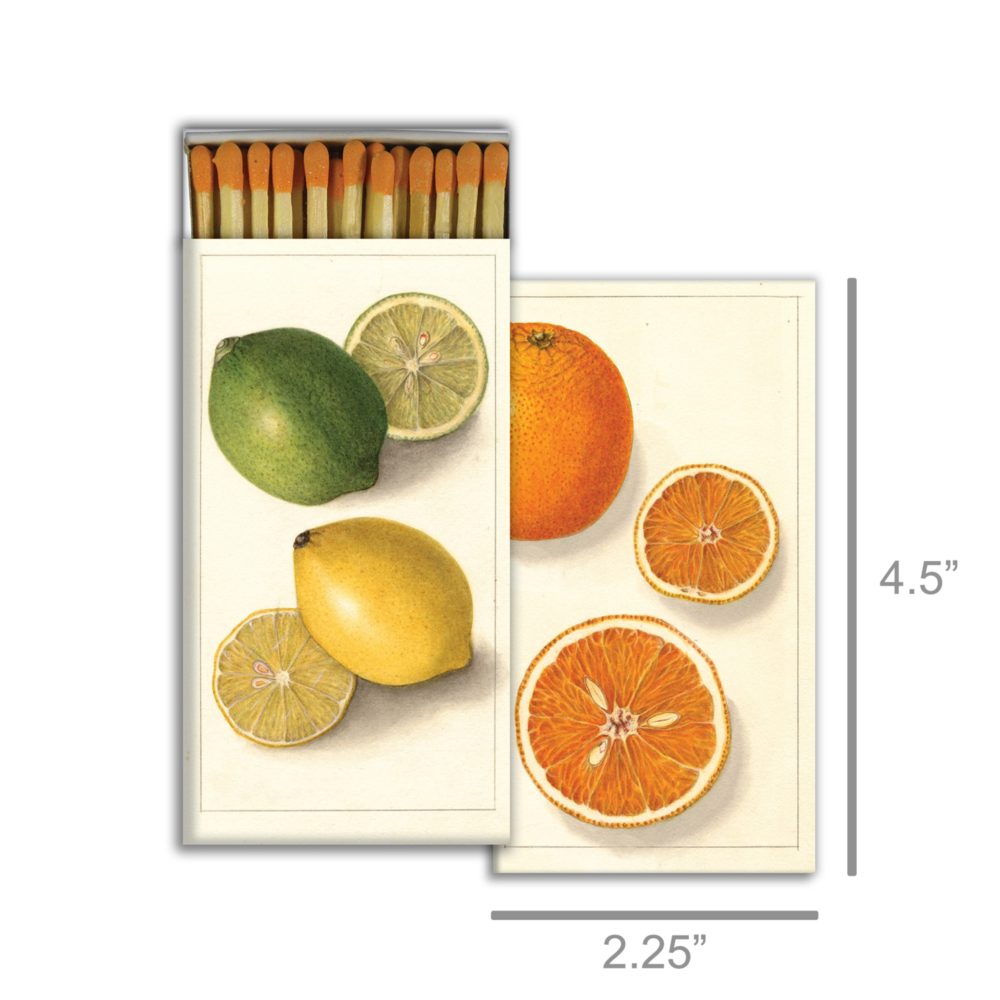 Citrus Matches Set of 6 by HomArt - Image 2