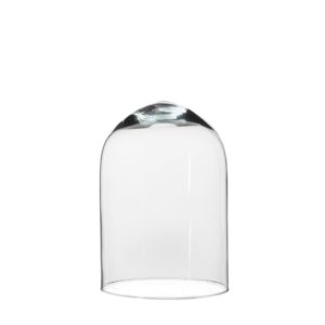 Small Hella Glass Dome by Edelman