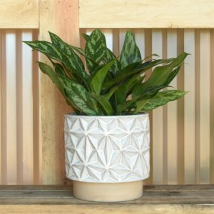 Ramos Geometric Cachepot by HomArt