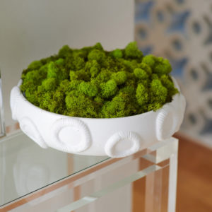 Rotunda Bowl by Abigails