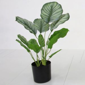 Faux Marantaceae with Pot by BIDKhome
