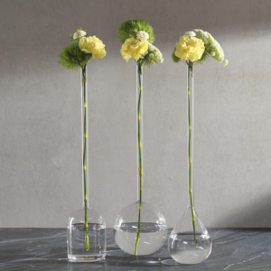 Long Neck Mouth Blown Vases by Zodax
