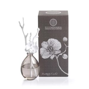 Illuminaria Porcelain Branch Diffuser with Butterfly Orchid Scent by Zodax
