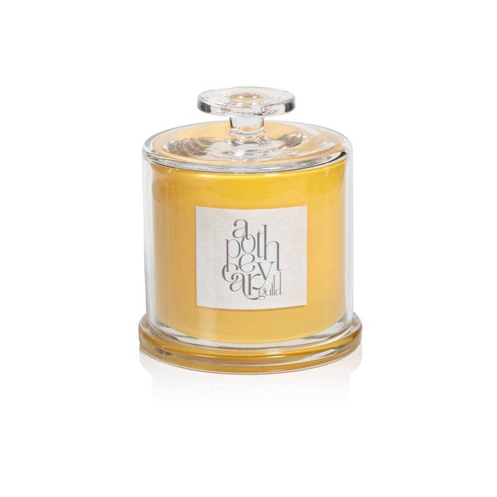 Apothecary Guild Large Grapefruit Juniper Candle with Cloche