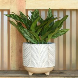 Ramos Chevron Stoneware Cachepot by HomArt