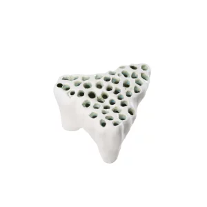 Etna White Stoneware Tulipiere by Abigails
