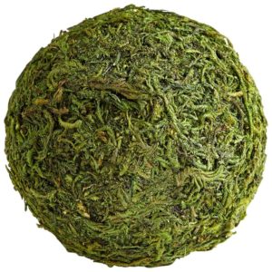 Small Green Moss Bermuda Sphere by Cyan Design
