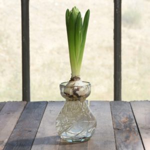 Clear Recycled Glass Bulb Vase by HomArt