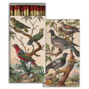 Pigeons and Parakeets Matches Set of 6 by HomArt