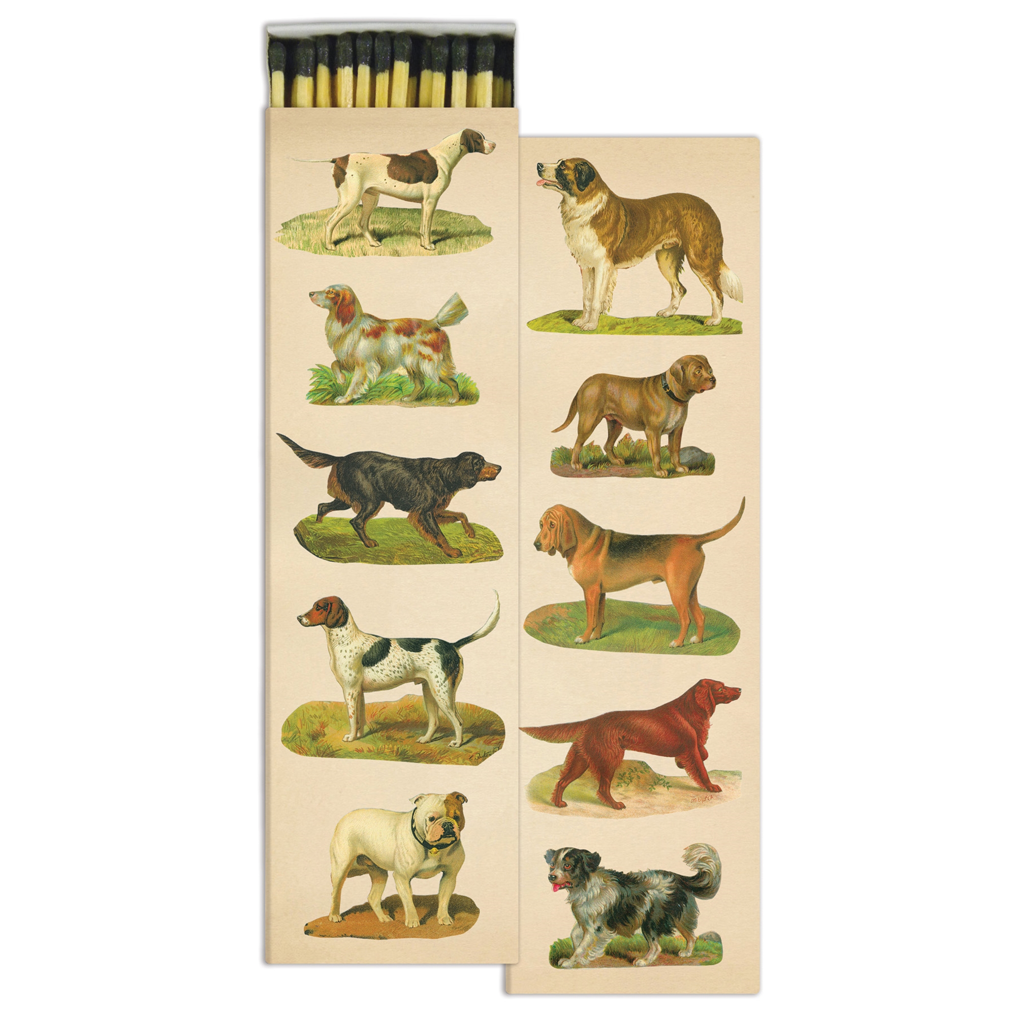 Extra Long Dog Collage Matches Set of 4 by HomArt - Seven Colonial