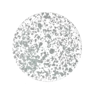 Taverna Gray and White Speckled 9.25"d Soup Bowl by Abigails