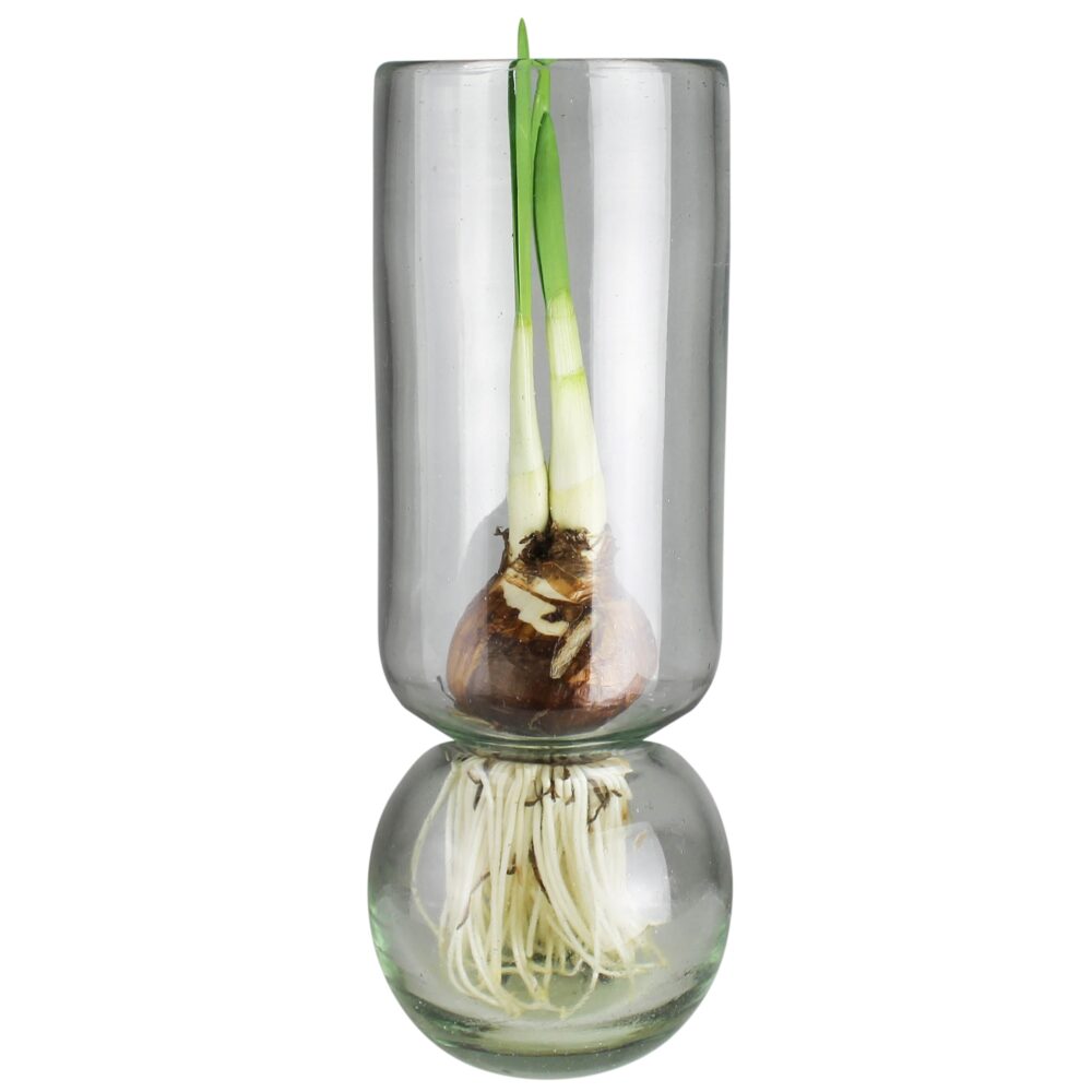 Tall Recycled Glass Bulb Vase by HomArt - Image 2