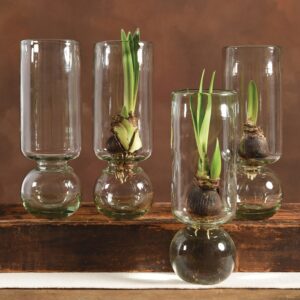 Bulb Vases