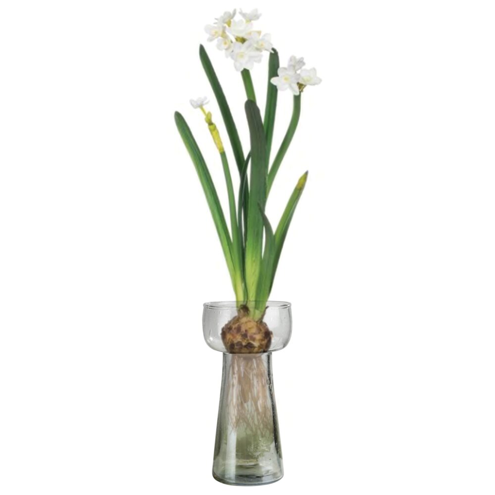Lucidia Bulb Vase Set of 2 by HomArt - Image 2