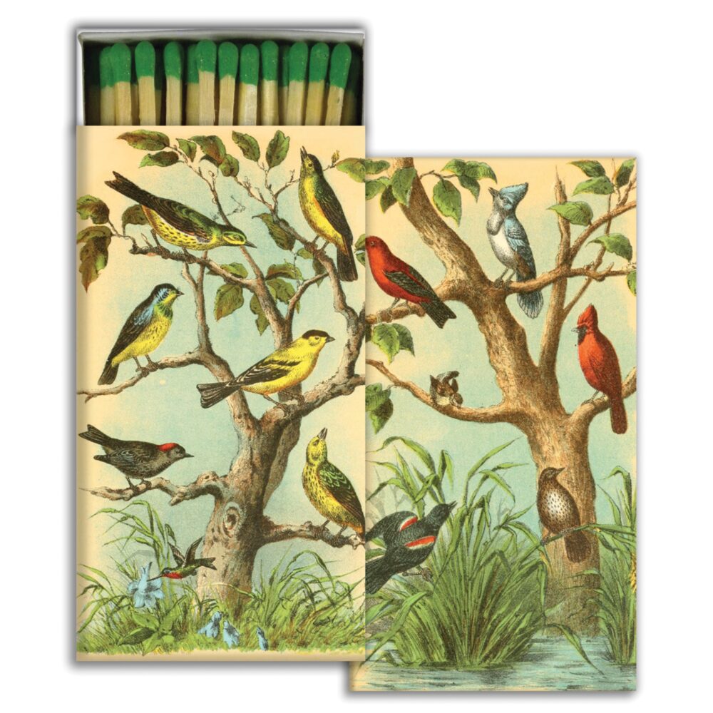 Bird Studies Matches Set of 6 Boxes by HomArt