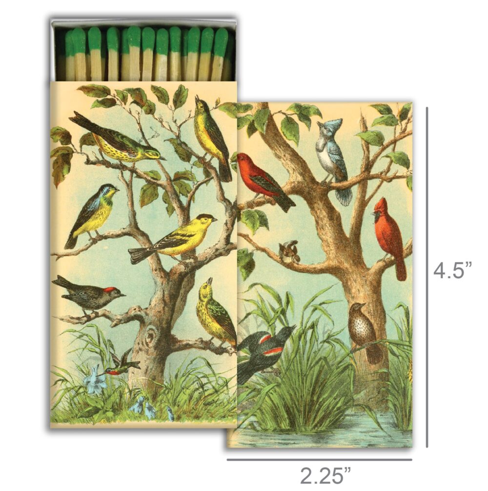 Bird Studies Matches Set of 6 Boxes by HomArt - Image 2