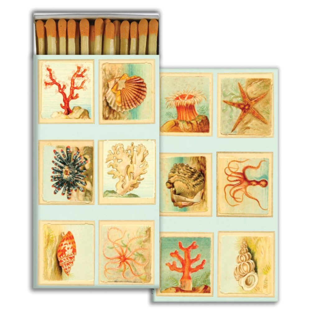 Mollusks, Coral and Seastar Matches Set of 6 Boxes by HomArt