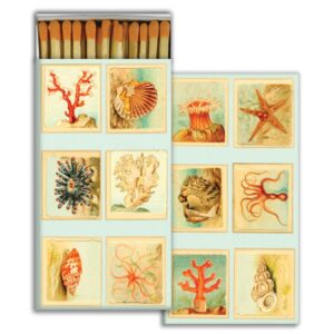 Mollusks, Coral and Seastar Matches Set of 6 Boxes by HomArt
