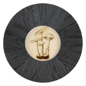 Palos Round Wood Wall Photo Frame by HomArt