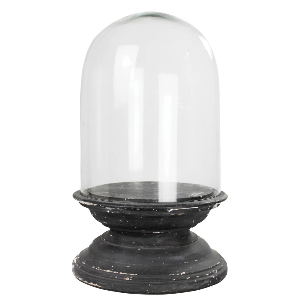 Arroyo Glass Domes with Black Wood Bases by HomArt
