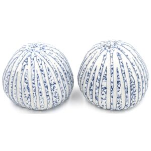 Pebble White/Blue Salt And Pepper Shakers by Art Floral Trading