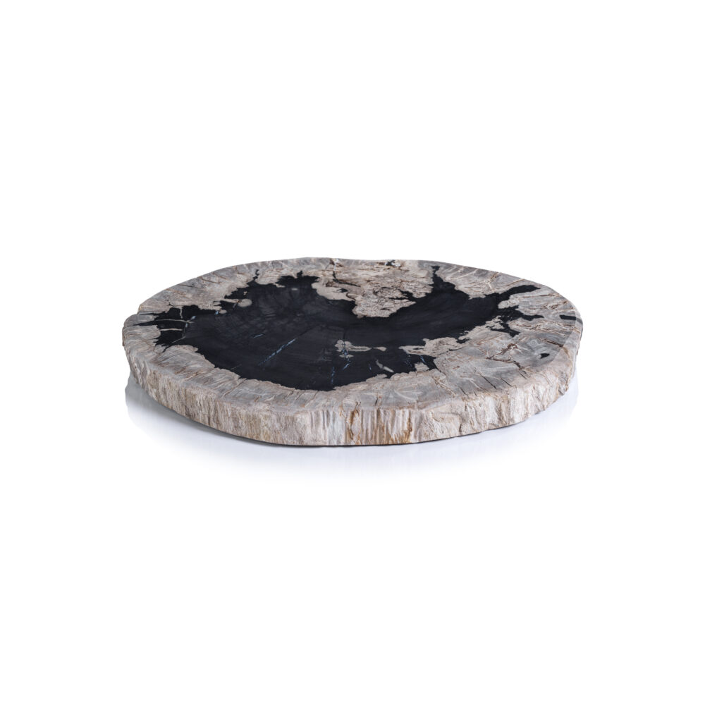 Brasilia Petrified Wood Cheese Board by Zodax