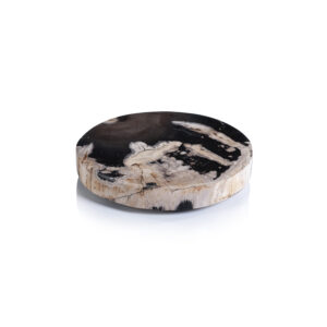 Florenza Petrified Wood Cheese Board by Zodax