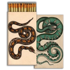 Rare Snakes Matches Set of 6 by HomArt