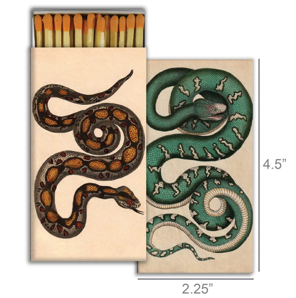 Rare Snakes Matches Set of 6 by HomArt - Image 2