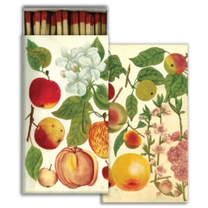 Orchard Apples Matches Set of 6 by HomArt
