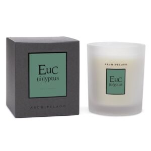 Eucalyptus Boxed Candle by Archipelago Botanicals