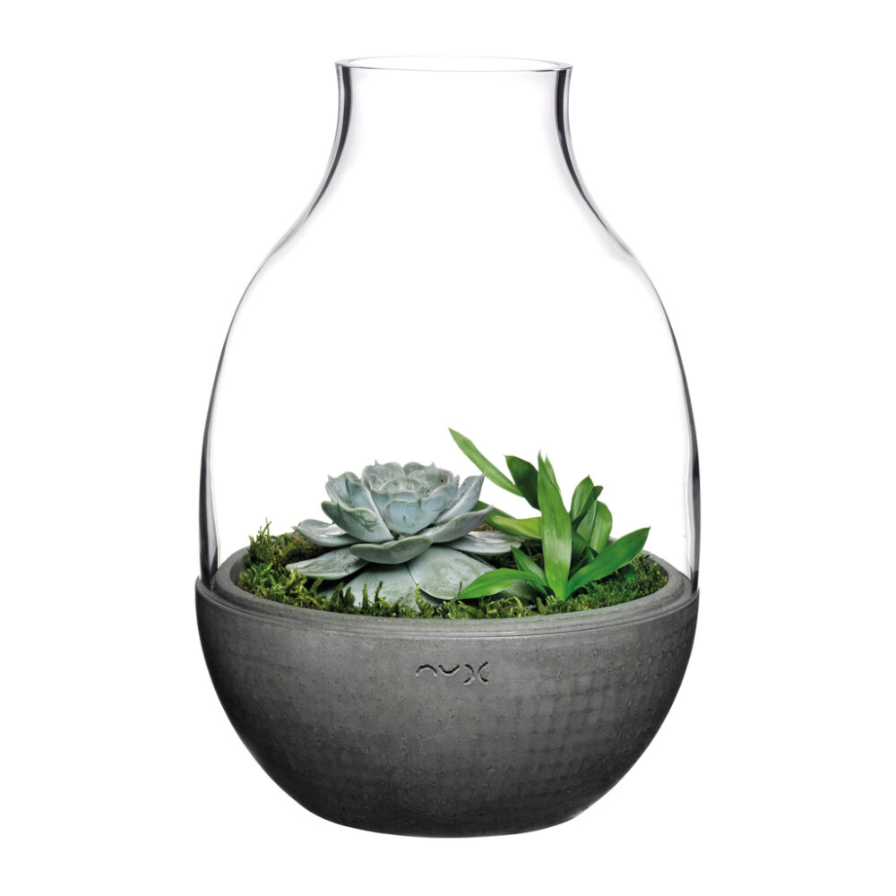 Eden Terrarium Clear with Moulded Concrete Base by Nude Glass - Image 2