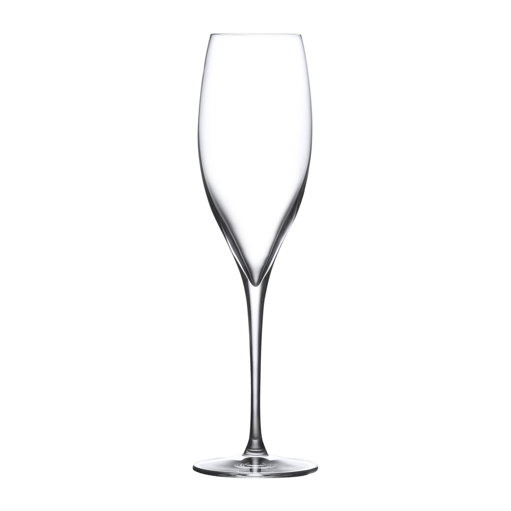 Terroir Set of 2 Champagne Glasses by Nude Glass