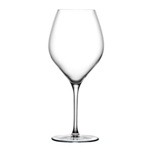 Vinifera Set of 2 White Wine Glasses 20.25 oz by Nude Glass