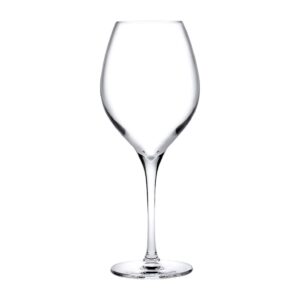 Vinifera Set of 2 White Wine Glasses 12.25 oz by Nude Glass