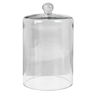 Glass Dome by HomArt