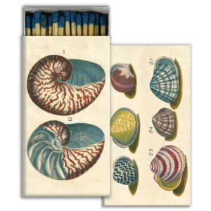 18th Century Shells Matches Set of 6 by HomArt