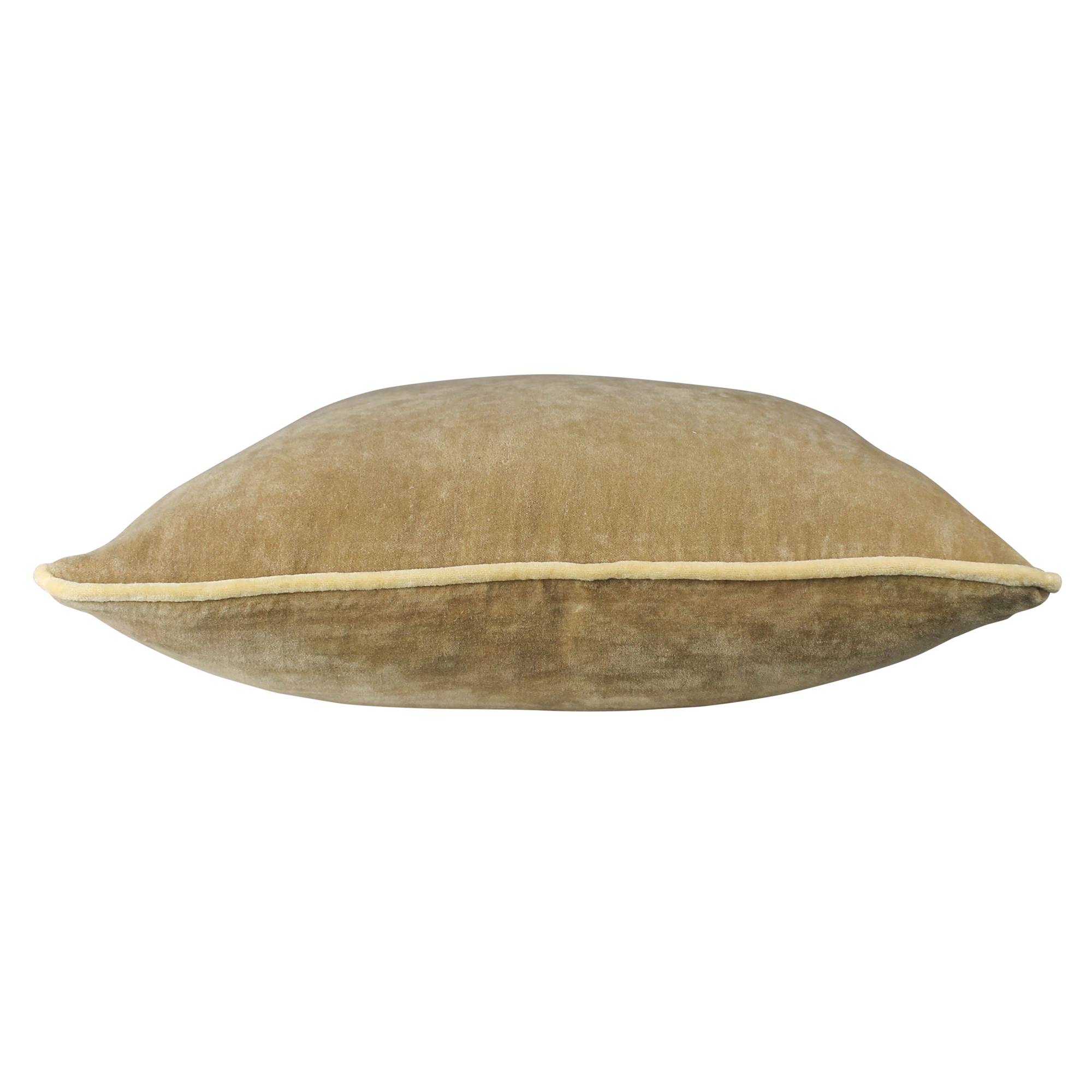 Andover Goldenrod Velvet Pillow by HomArt - Image 2