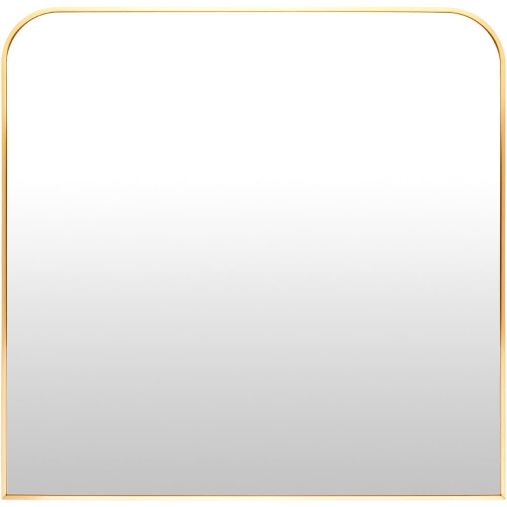 Aranya Gold Accent Mirror by Livabliss