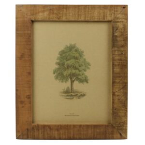 Reclaimed Wood 8 x 10 Wall Frame by HomArt