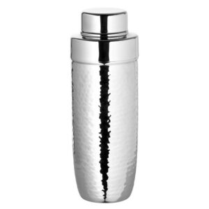 Nassau Stainless Steel Silver Cocktail Shaker by BIDKhome
