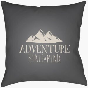 Adventure III Charcoal Outdoor Pillow by Livabliss