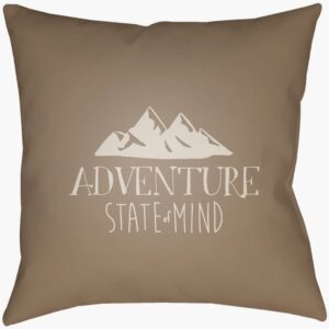 Adventure III Taupe Outdoor Pillow by Livabliss