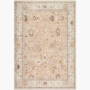 Davina Polyester Machine Woven Rug by Becki Owens for Livabliss