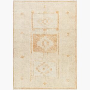 Solana Polyester Machine Woven Rug by Becki Owens for Livabliss