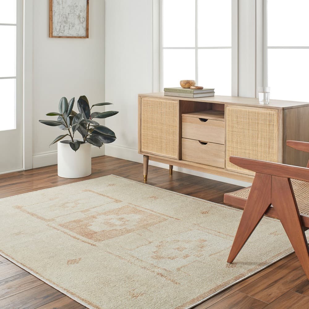 Solana Polyester Machine Woven Rug by Becki Owens for Livabliss - Image 2