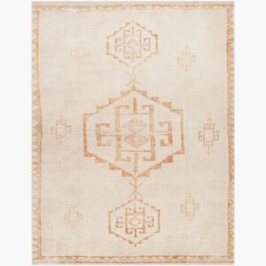 Solana Polyester Machine Woven Rug by Becki Owens for Livabliss